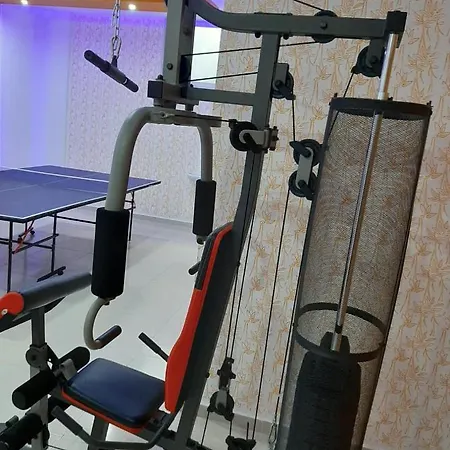 דירה Center_yazar